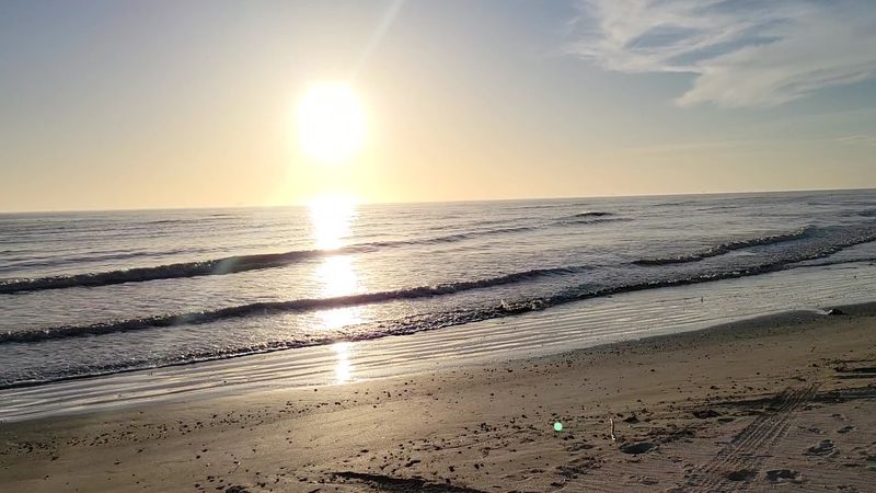 When To Visit For The Best Shelling