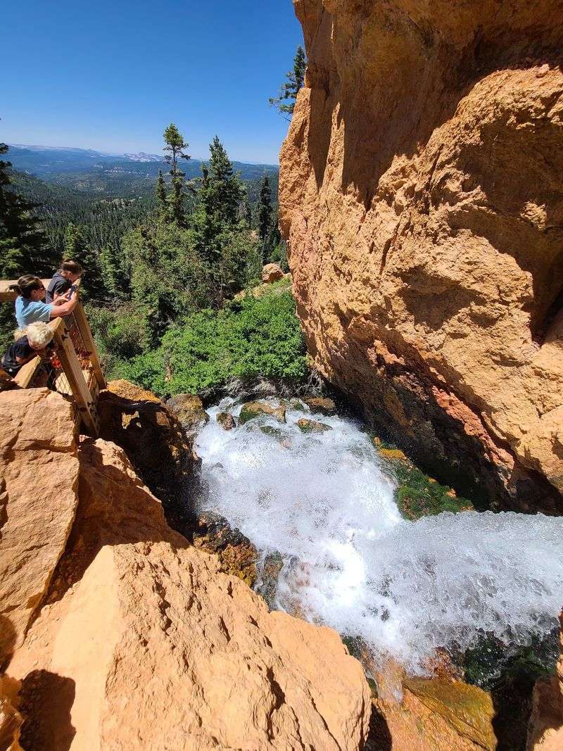 Cascade Falls Trailhead/Virgin River Rim Trail, Duck Creek Village, UT