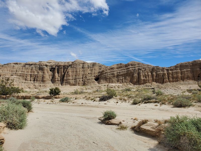 Anza-Borrego Desert State Park