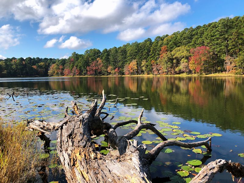 The Park Sits Just Outside Daingerfield