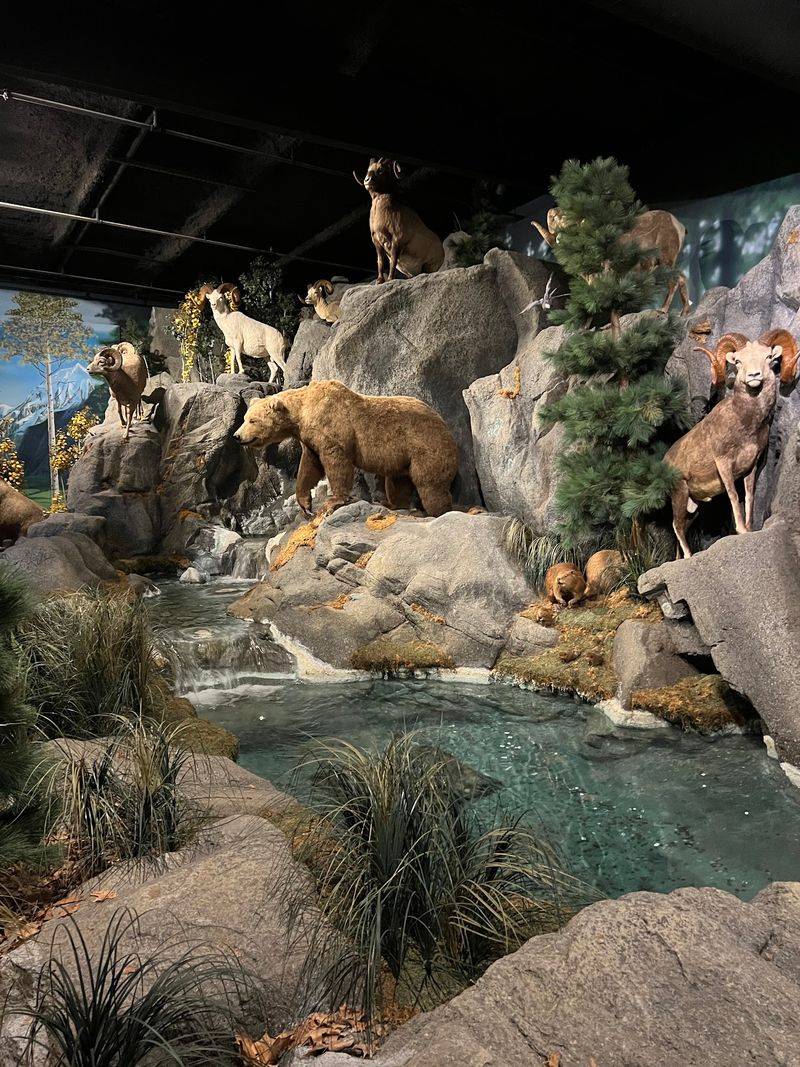 Rolling Hills Zoo And Wildlife Museum, Salina, Kansas