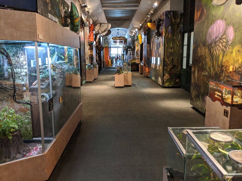 Audubon Insectarium, New Orleans, LA