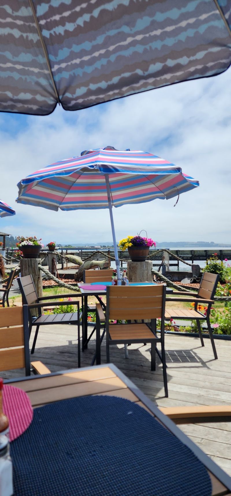 A Patio Where Boats and Sea Birds Put on a Show