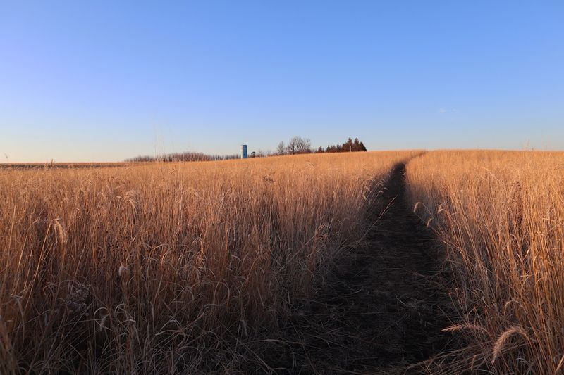 Irvine Prairie, Dysart
