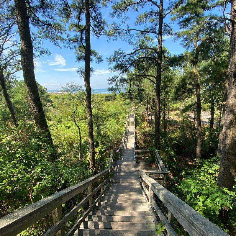 Trails And Boardwalks Lead Away From The Sand