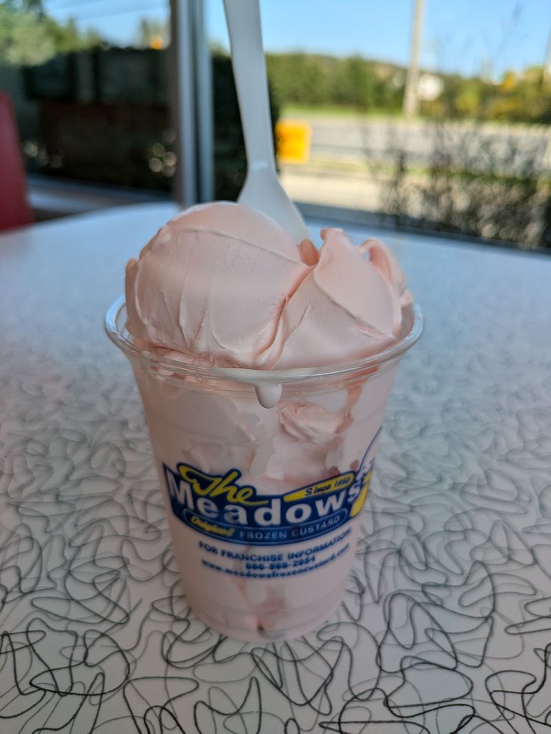 The Meadows Original Frozen Custard