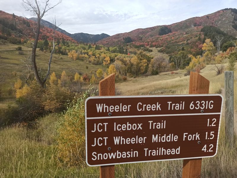 Wheeler Creek And Icebox Canyon Loop, Ogden Valley