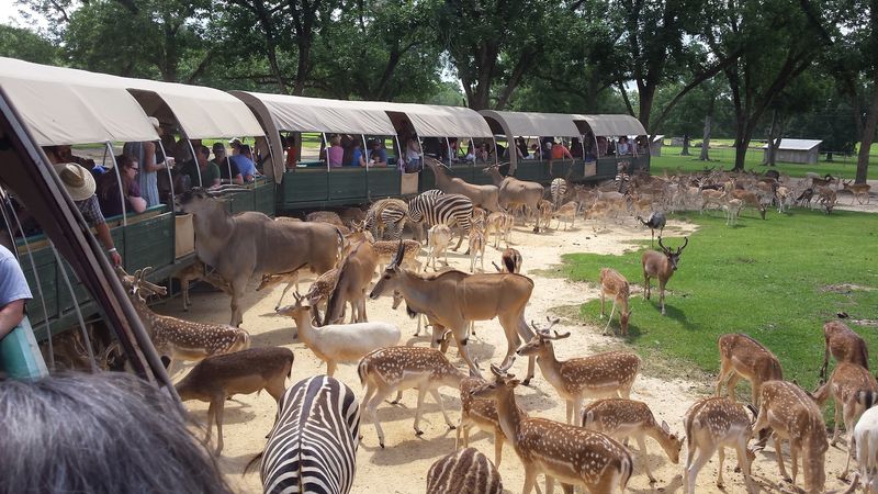 Plan Transportation Like The Preserve Is Remote, Because It Is