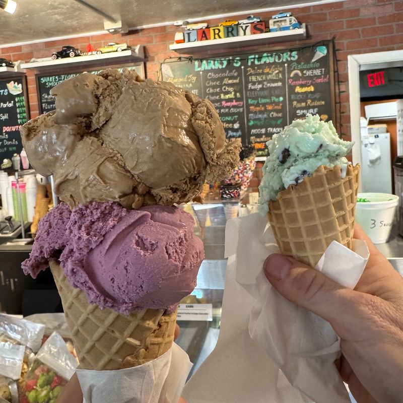 Larry's Ice Cream & Gelatos