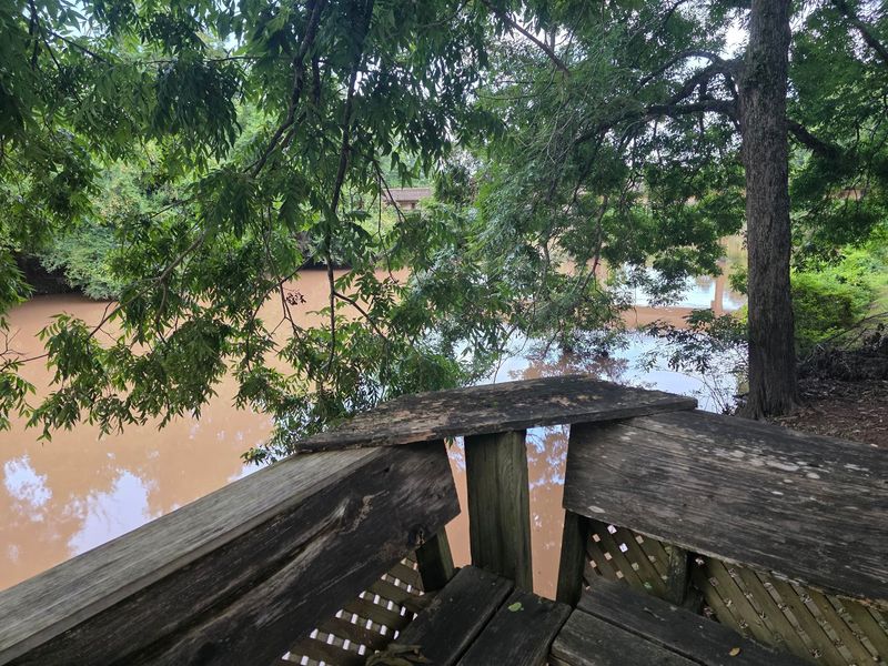 Leave Time For The Bayou And History
