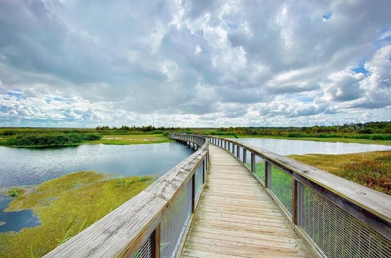 Sweetwater Wetlands Park