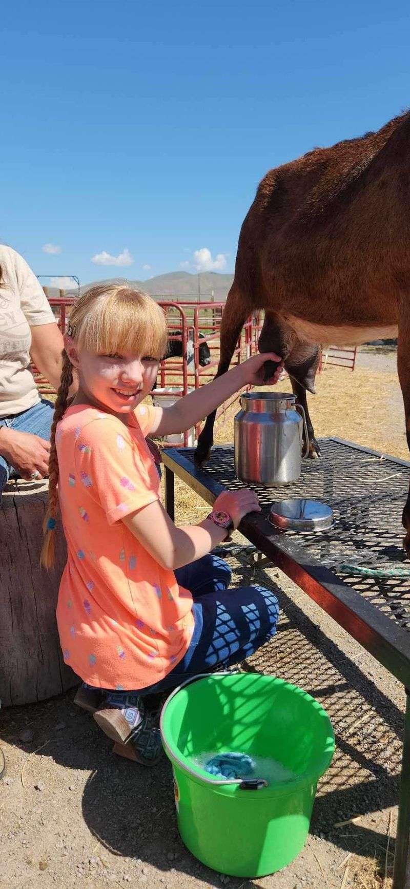 Evans Acres Mini Farm, Tremonton, UT