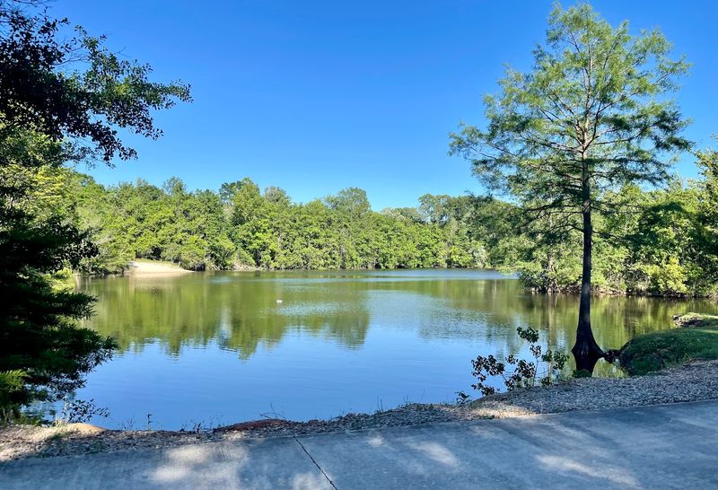 Eleven Stocked Lakes For Easygoing Fishing