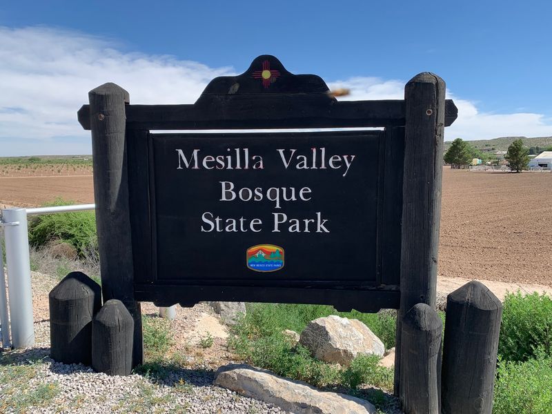 Mesilla Valley Bosque State Park, Mesilla