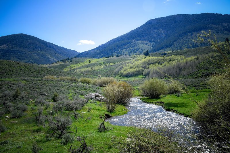 Temple Fork Sawmill Trail, Logan Canyon