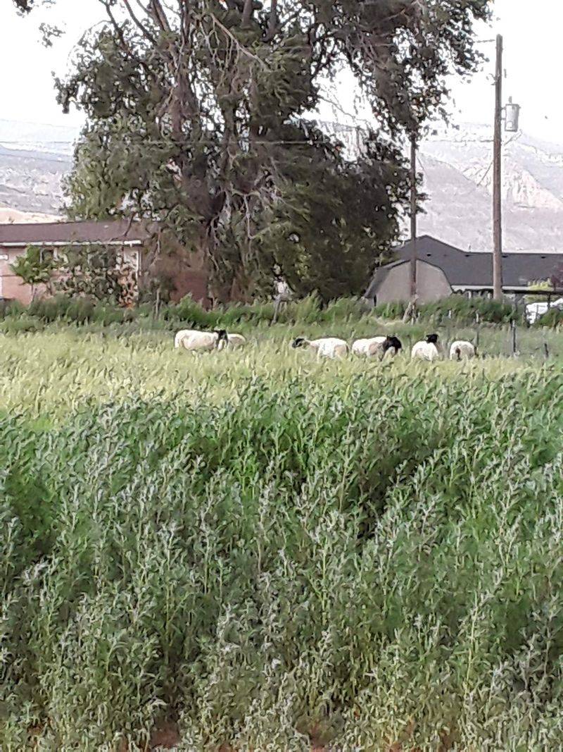 Richfield, Utah