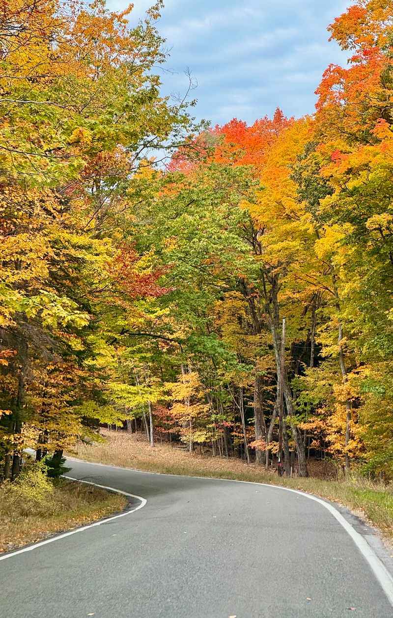 Harbor Springs