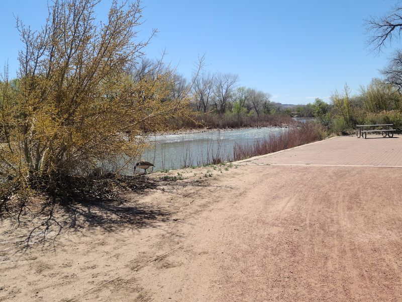Riverwalk nature trail, Farmington, NM