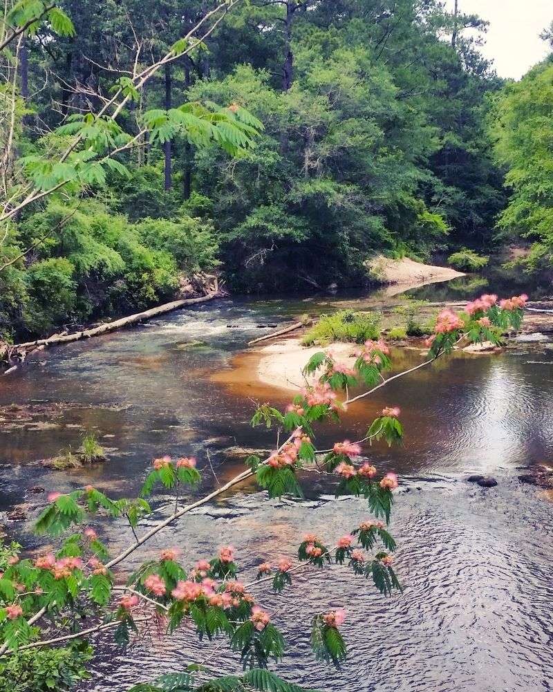 Swimming, Kayaking, And River Days