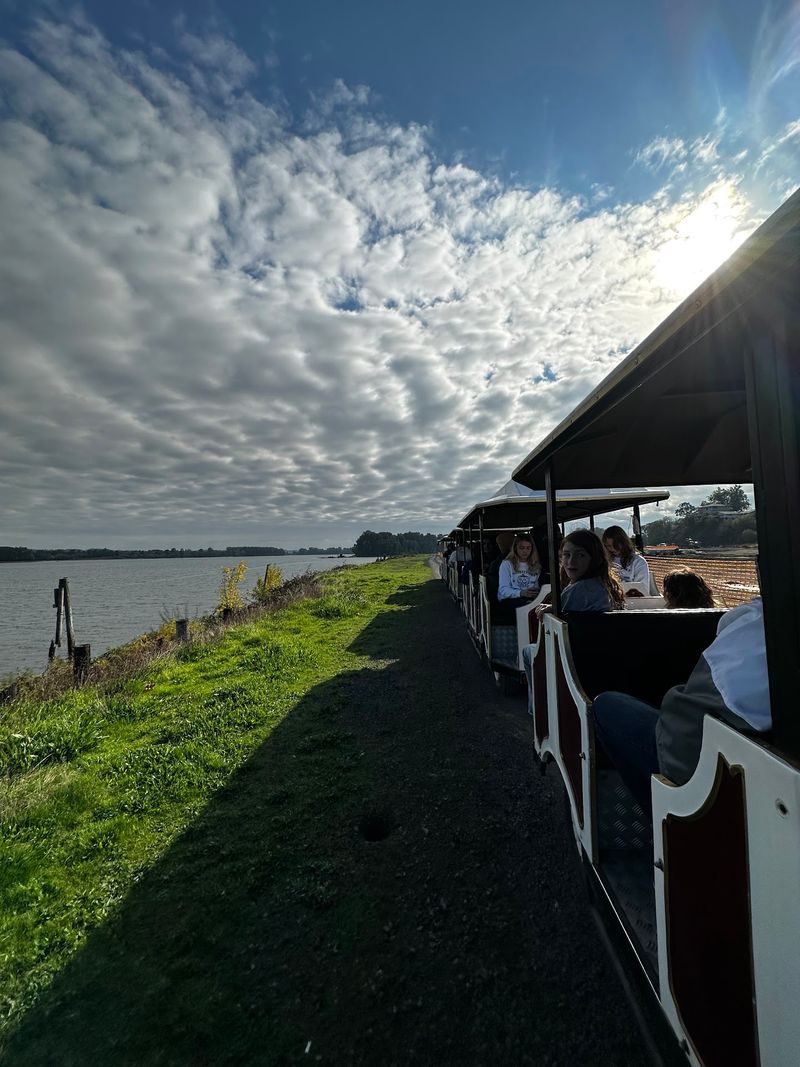 The Filming Location Trolley Connects Screen And Street