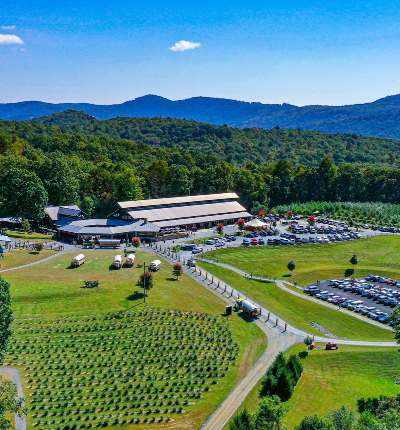 Jeter Mountain Farm Apple Orchard, Hendersonville