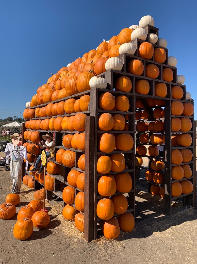 Underwood Family Farms, Moorpark, CA