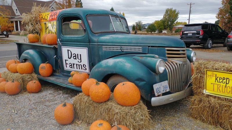 Day Farms, Layton