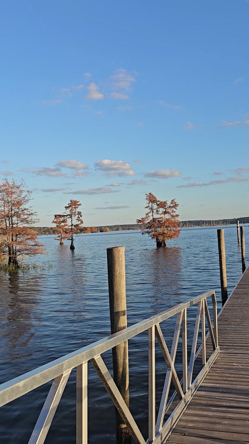 Evergreen Road Is The Last Turn Before The Lake