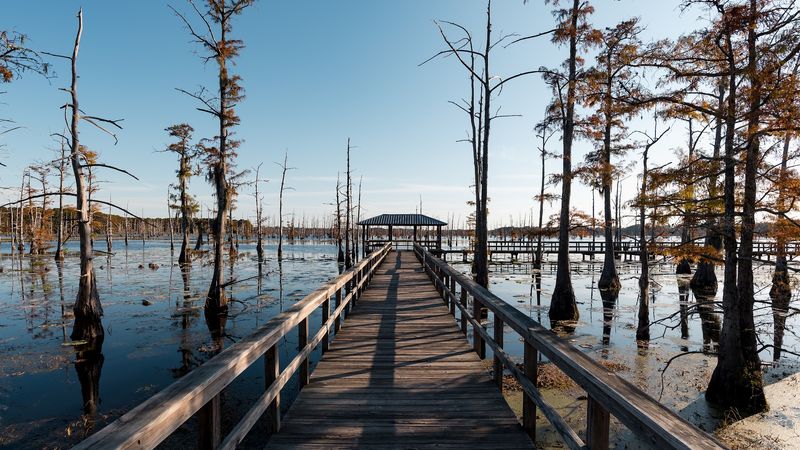 US-165 Gives Way To The Bayou