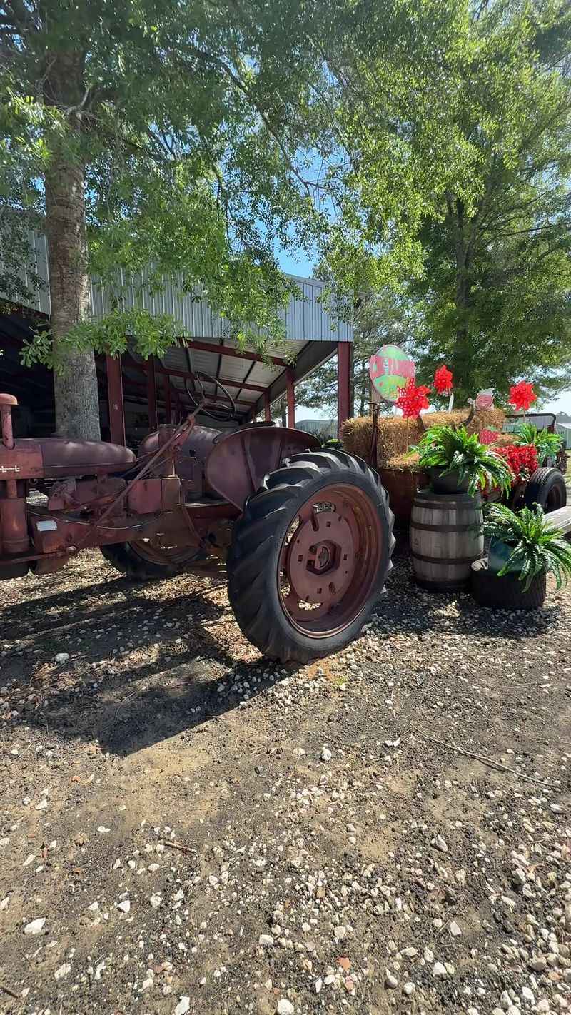 History Meets Harvest Fun At CM Farms