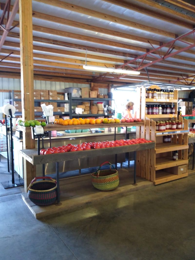 Cherries, Peaches, And Sunflowers Before Fall Arrives