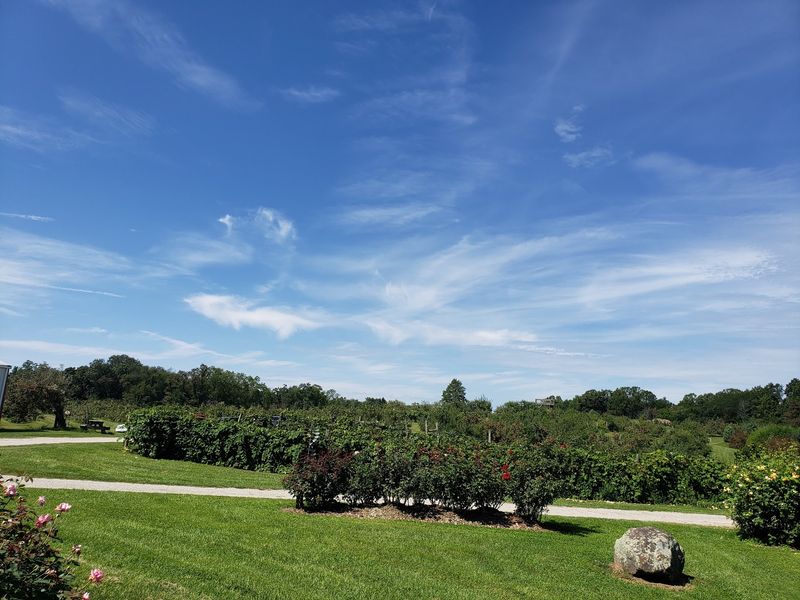 The Orchard Sits On A 300-Acre Woodland Property