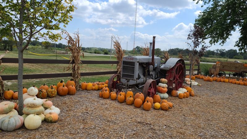 Pumpkins Piled High Everywhere You Look