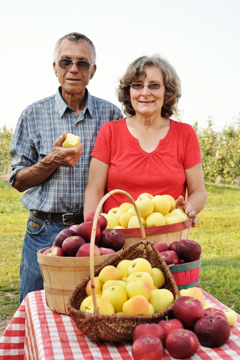 Buffalo Ridge Orchard, Central City