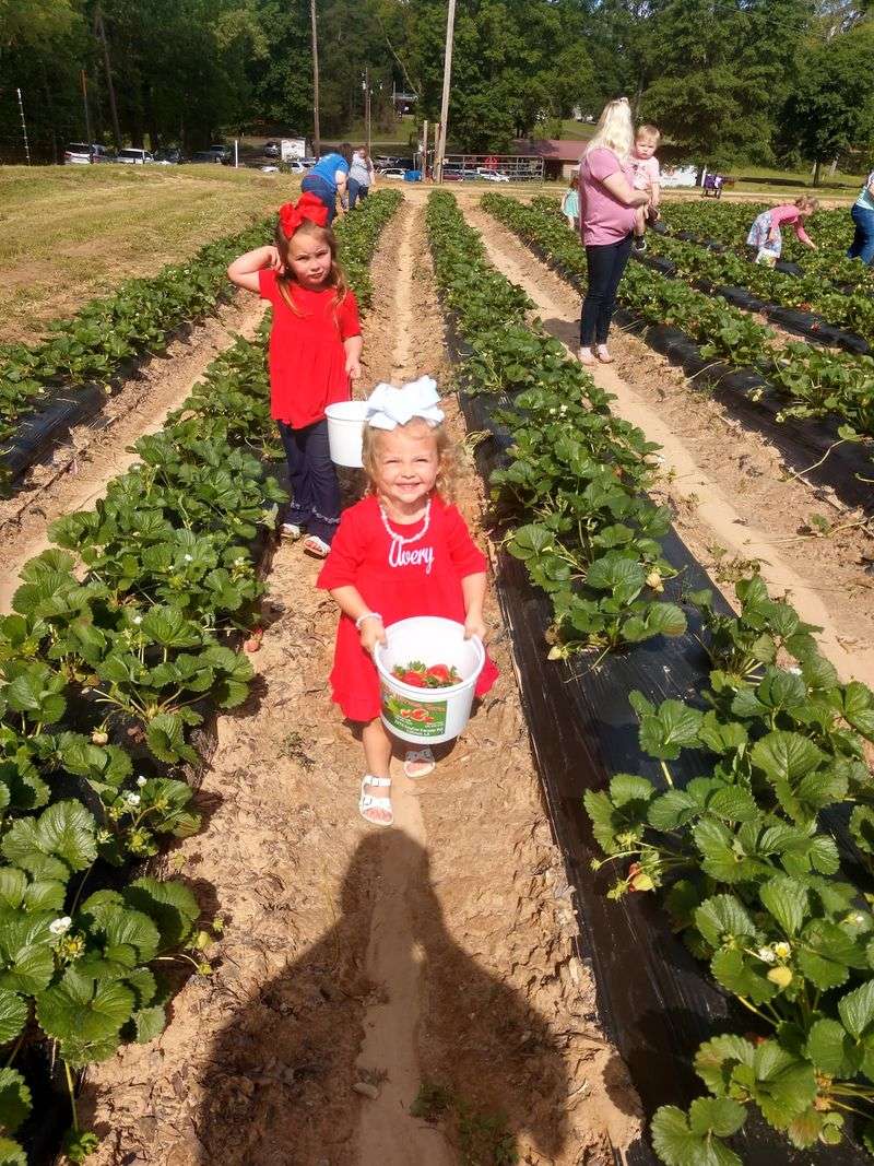 Use The Farm To Teach Without A Lecture