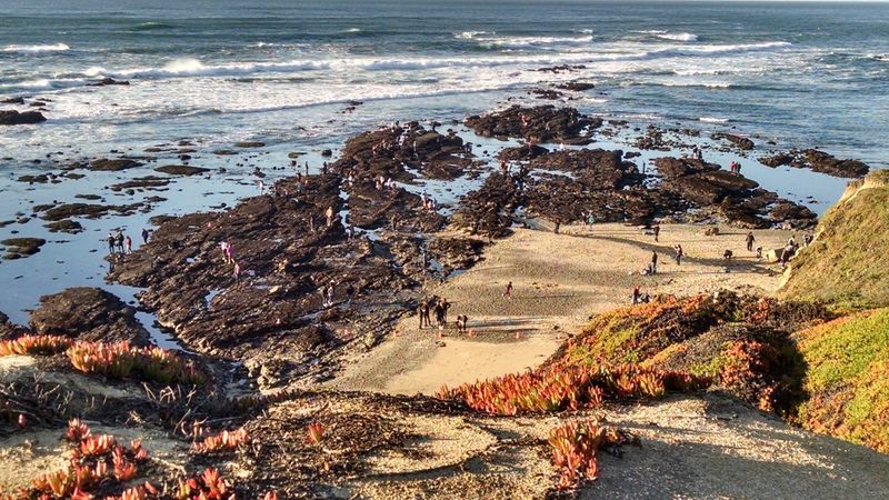 J V Fitzgerald Marine Reserve, Moss Beach, CA