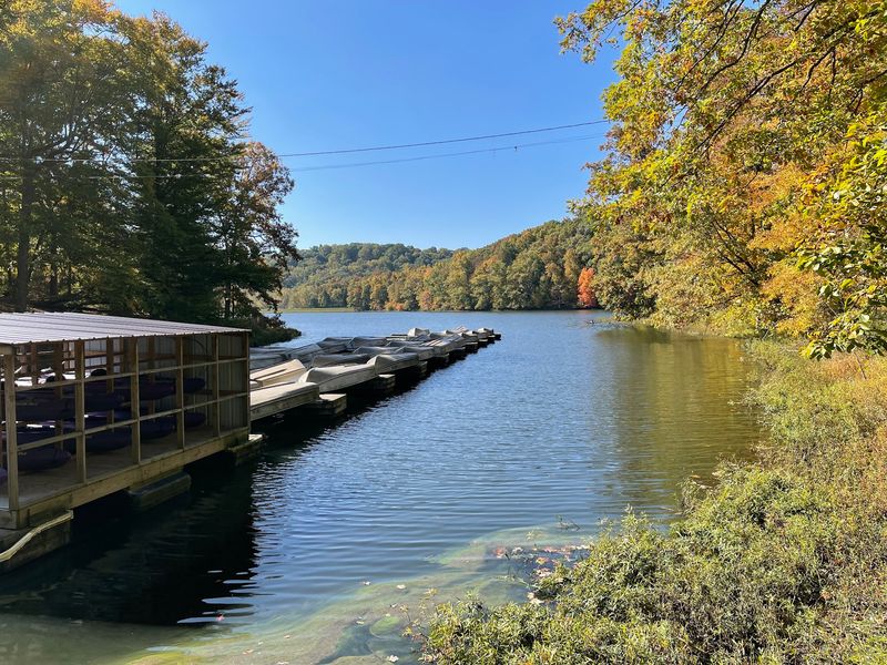 Yellowwood State Forest
