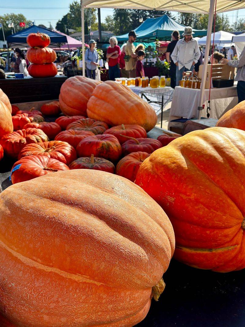 The Driftless Region Sets The Seasonal Pace