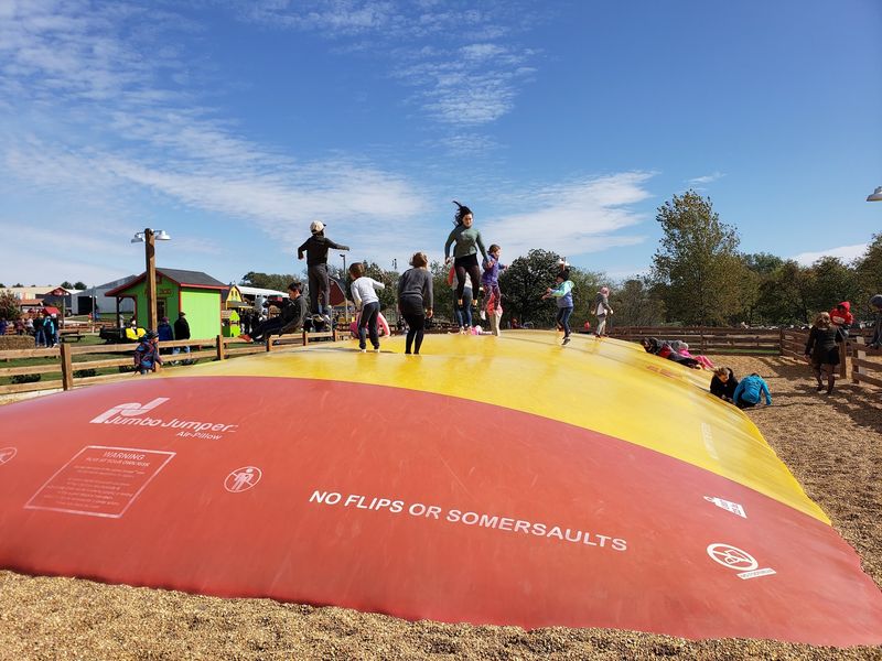 Jumping Pillows, Zip Lines, And Grown-Up Fun