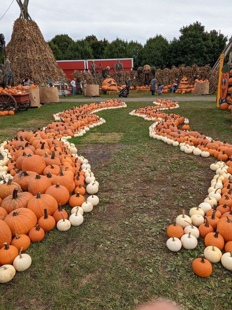 The Corn Maze Deserves Its Own Chunk Of Time