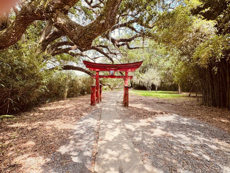 Hours, Tickets And The Road To Avery Island