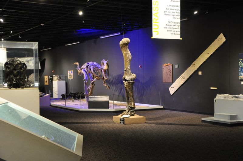 Exhibits That Walk You Through Deep Time