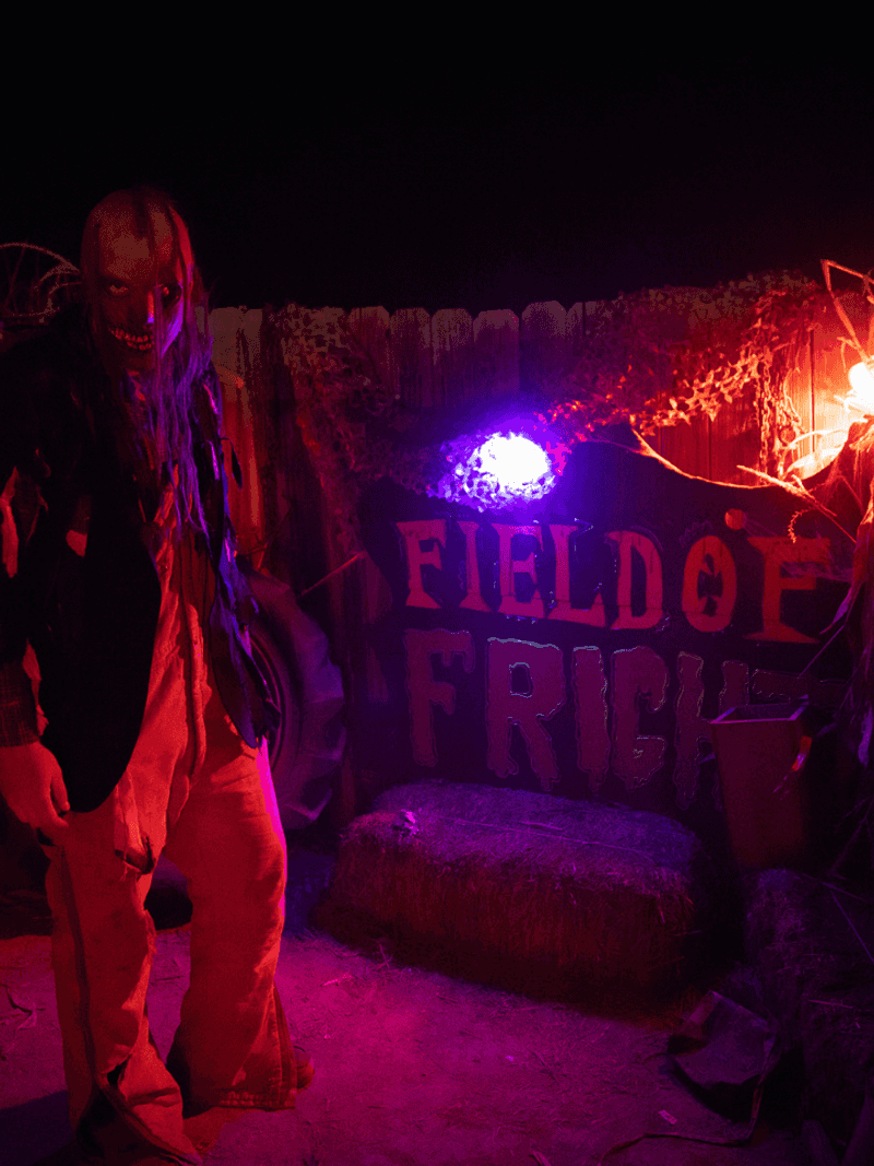 A Seasonal Haunt That Knows Its Audience