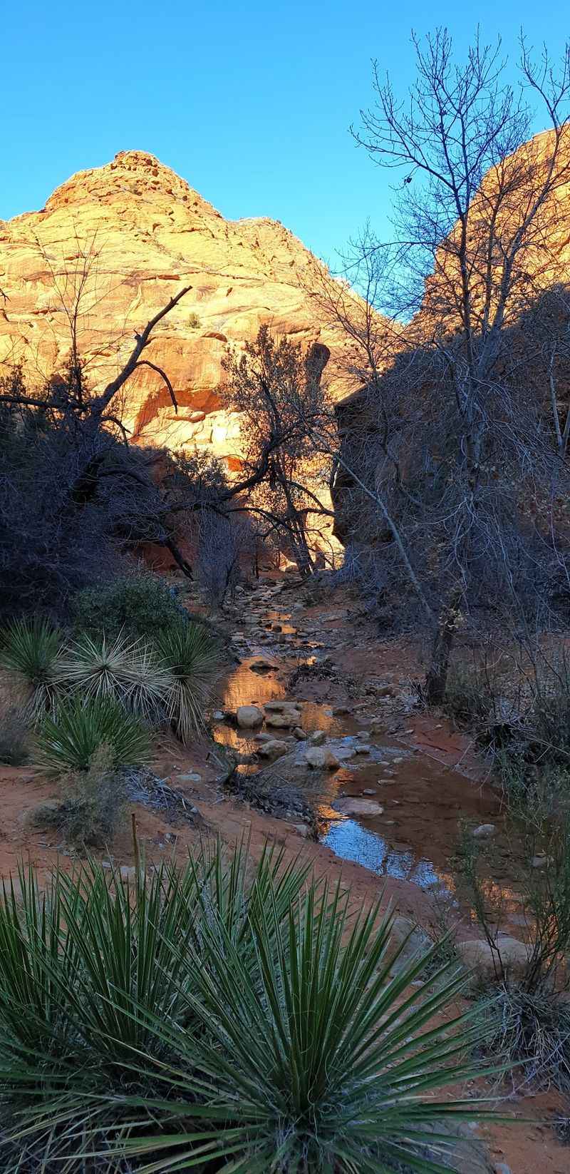 A Creek Changes The Red Rock Picture