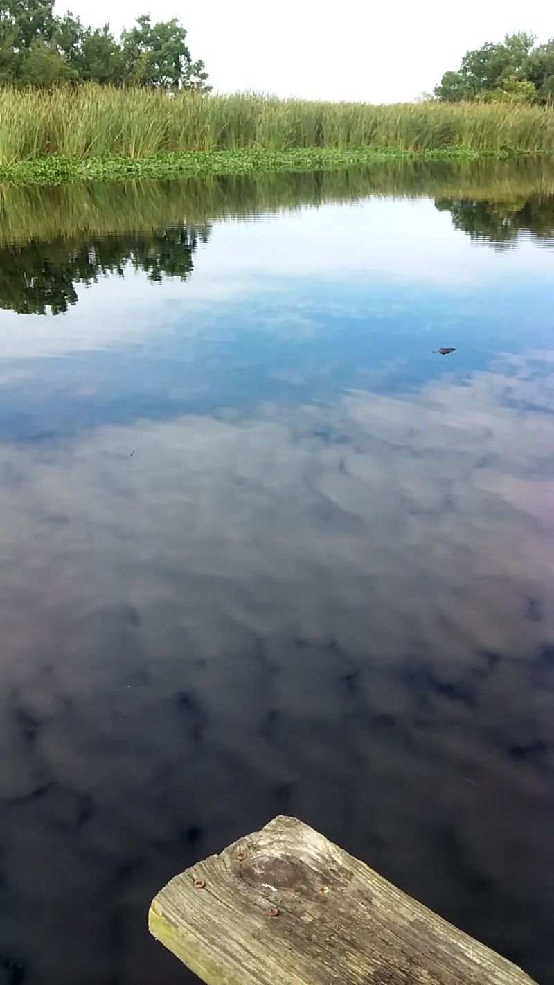 Casting A Line From The Little Pier