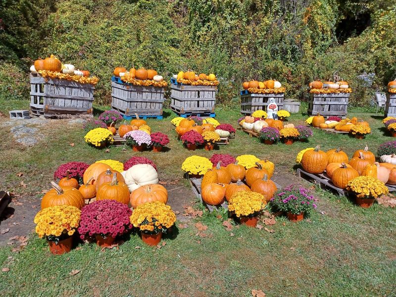 Seasonal Operation Keeps The Market Tied To The Growing Year