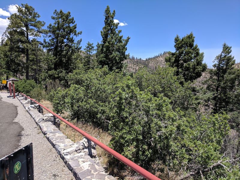 The Road Leads Deeper Into Wild Country