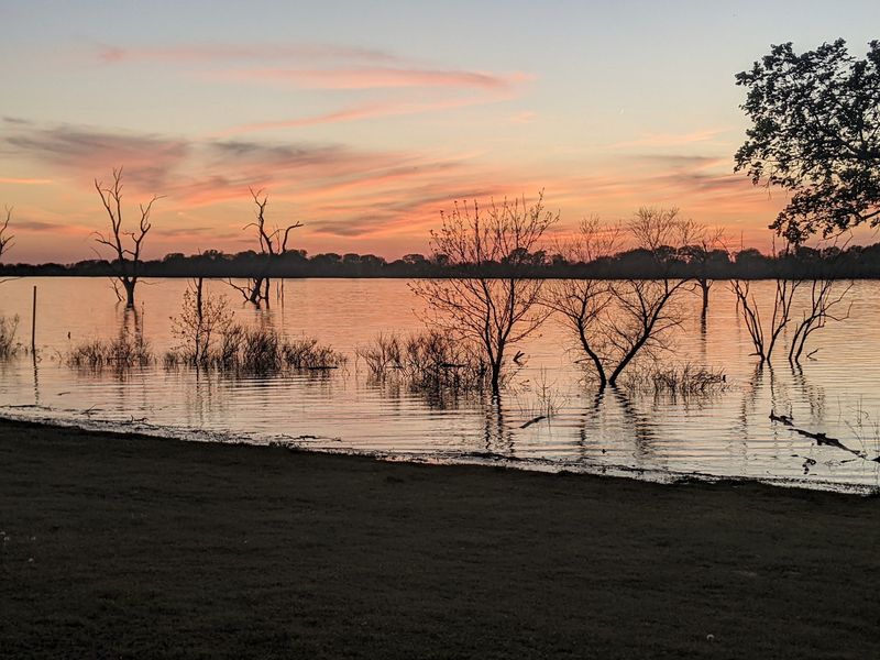 Flooded Timber Creates Endless Hiding Spots