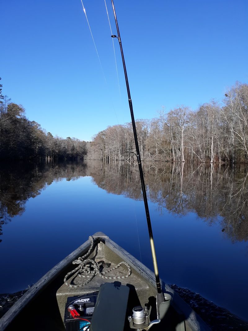 The River Has Far More Wildlife Than Snakes