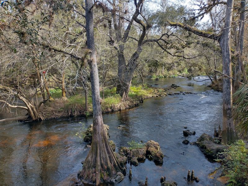Hillsborough River State Park, Thonotosassa, FL